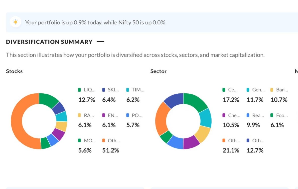 Diversification summary