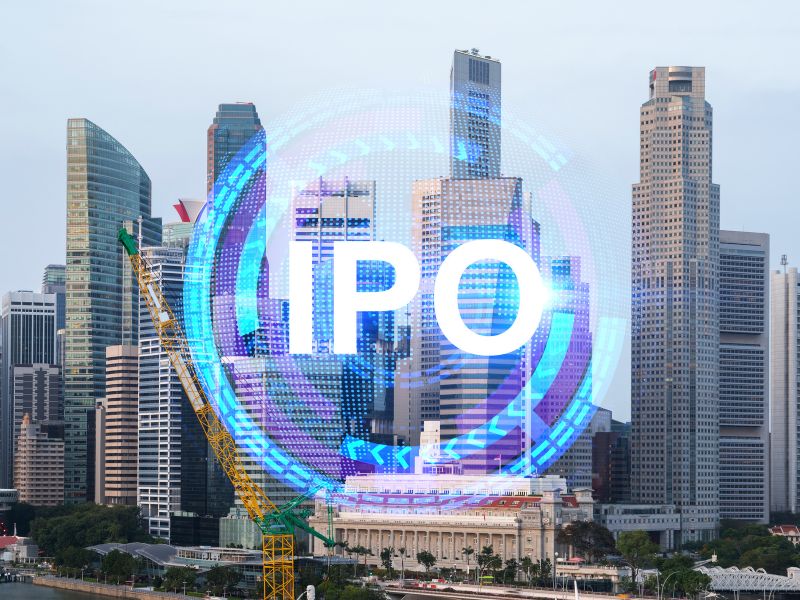 Initial Public Offering (IPO)